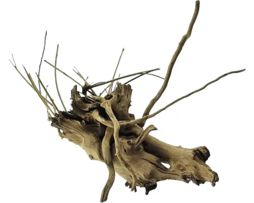 Rădăcină Nano Spider Wood M buc