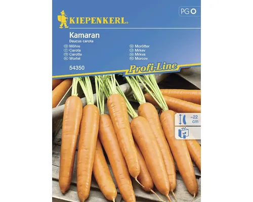 Semințe legume Kiepenkerl morcovi Kamaran F1 buc