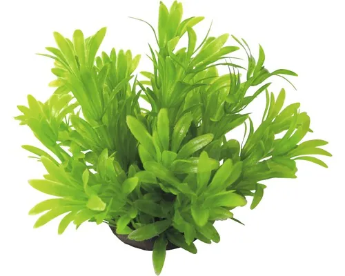 Plantă acvariu Orbit Deluxe mică nr.16 buc