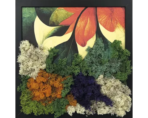 Tablou licheni Abstract Flower 35x35 cm buc