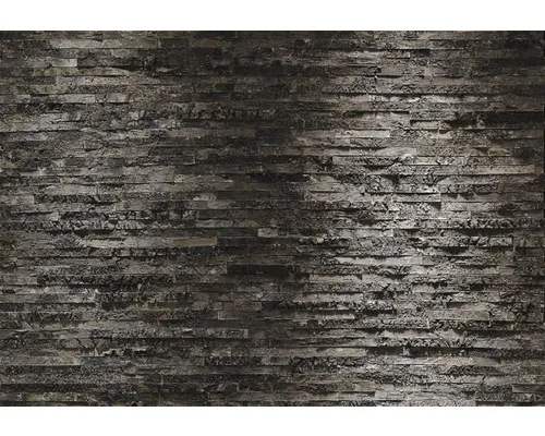 Fototapet hârtie Komar Scoarță de mesteacăn 368x254 cm buc