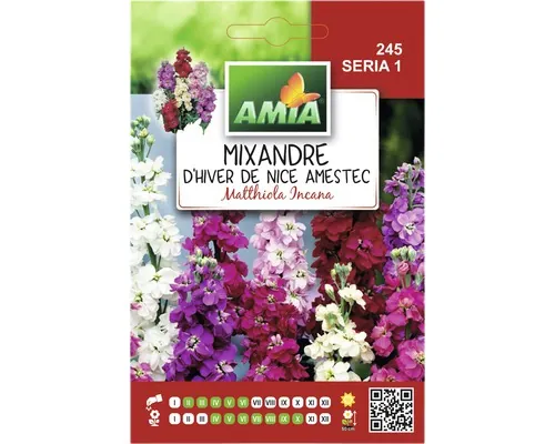 Semințe flori Amia mixandre amestec buc