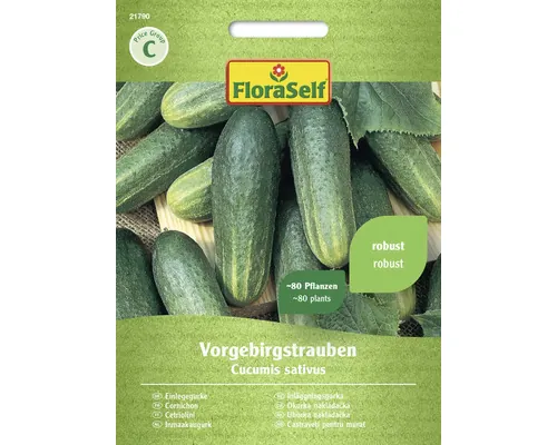 Semințe legume FloraSelf castraveți de murături buc