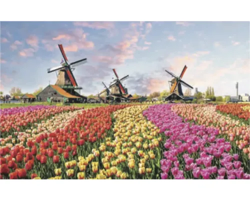 Tablou canvas PT7202 Windmills 95x150 cm buc