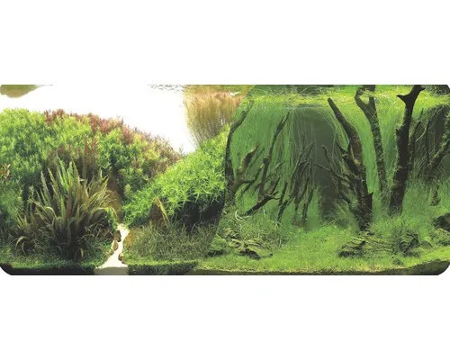 Fundal acvariu Orbit motiv 6 60x30 cm buc