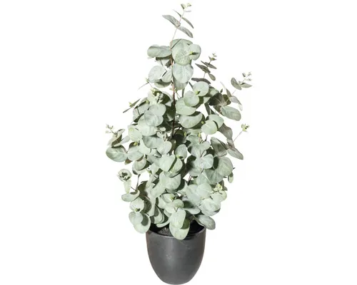 Plantă artificială Eucalipt în ghiveci H 60 cm verde buc