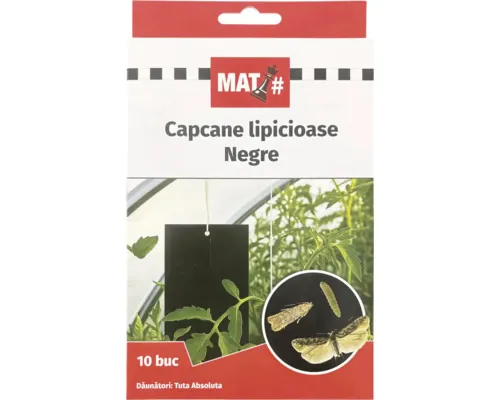 Set 10 capcane lipicioase negre MAT pac