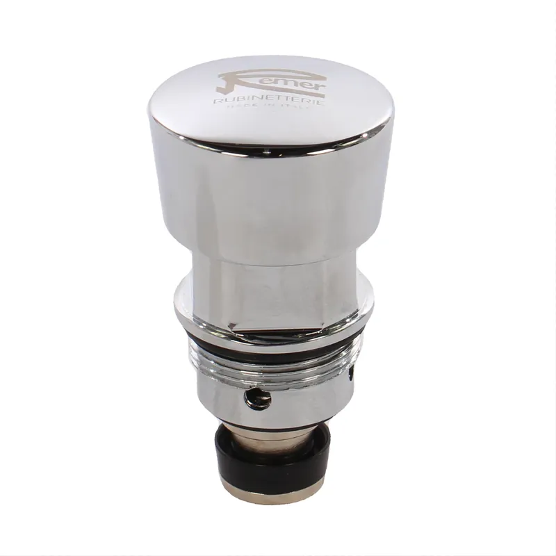Cartus pentru robinet cu temporizare, Remer TE VI, finisaj cromat, D 36 mm buc