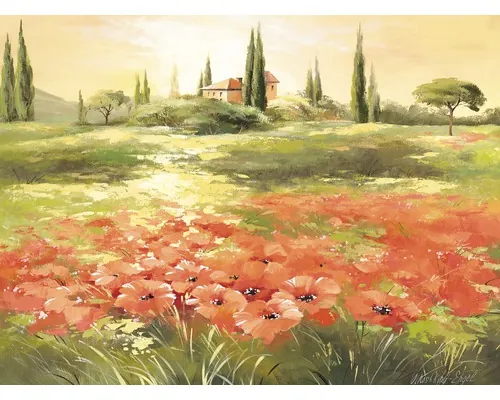 Tablou canvas Pure Living Poppy Field 57x77 cm buc