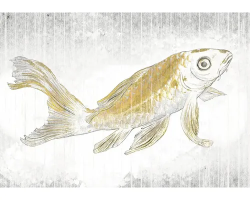 Fototapet vlies Komar RSX8-049 Golden Koi 400x280 cm buc