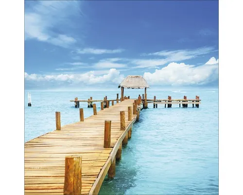 Tablou sticlă Pure Living Tropical Jetty 80x80 cm buc