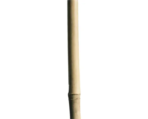 Arac din bambus pentru roșii FloraSelf H 70 cm buc