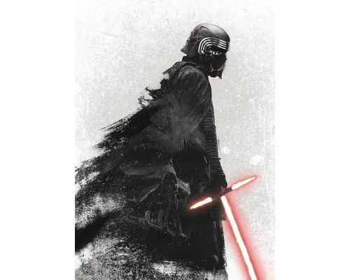 Fototapet vlies Komar DX4-074 Disney Edition 4 Star Wars Kylo Vader Shadow 200x280 cm buc