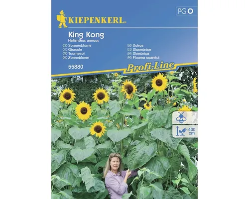 Semințe flori Kiepenkerl floarea soarelui King Kong buc
