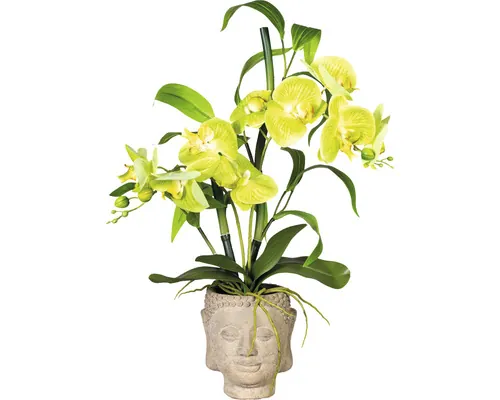 Aranjament artificial Orhidee în vas Buddha H 60 cm galben buc