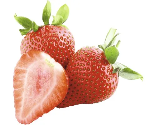 Căpşuni FloraSelf Fragaria x ananassa 'Senga® Sengana', ghiveci Ø 9 cm buc