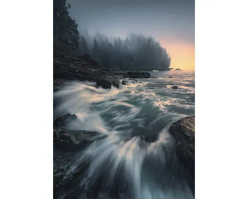 Fototapet vlies Komar SHX4-129 Cry of the Sea 200x280 cm buc