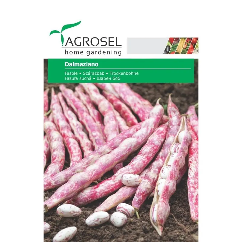 Seminte de fasole Dalmaziano Agrosel, 9 g