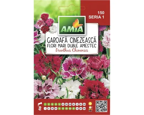 Semințe flori Amia garoafe chinezeşti flori mari duble amestec buc