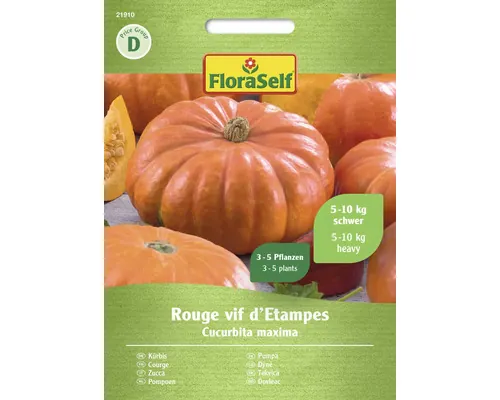Semințe legume FloraSelf dovleac roșu Vif D'Etampes buc