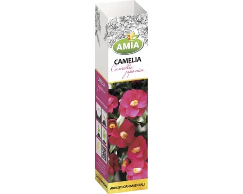 Arbust ornamental 'Camelia Japonica' H 150 cm roșie buc