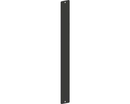 Placă montaj REIKA pentru accesorii magnetice 457x50cm negru buc
