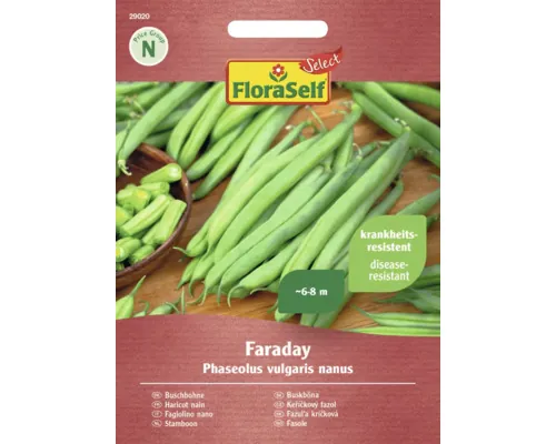 Semințe legume FloraSelf Select fasole Faraday buc