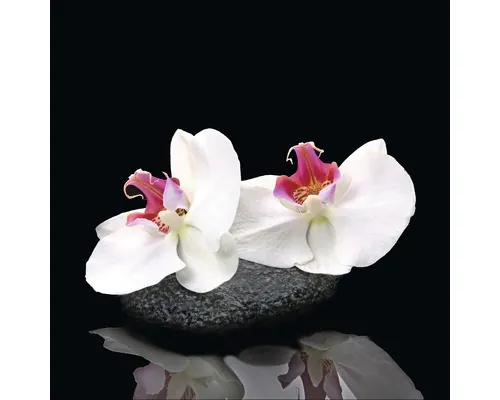 Tablou sticlă Pure Living White Orchid V 20x20 cm buc