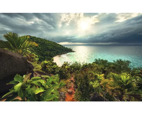 Fototapet vlies Komar SHX9-036 Garden of Temptation 450x280 cm buc