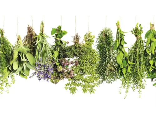 Panou bucătărie mySpotti Profix Buchete ierburi aromatice aluminiu compozit 100x60 cm buc