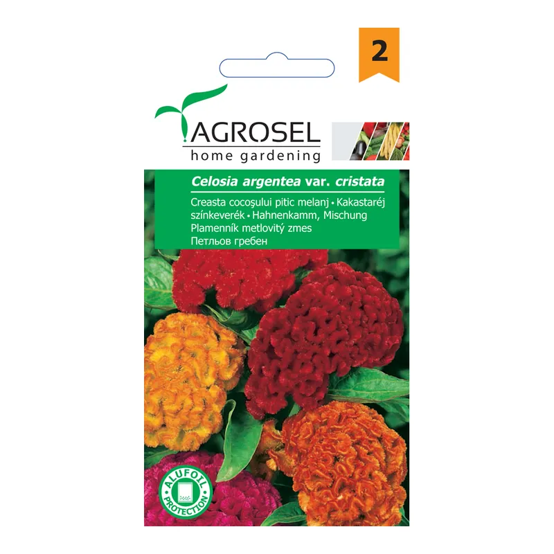 Seminte de creasta cocosului melanj, Agrosel