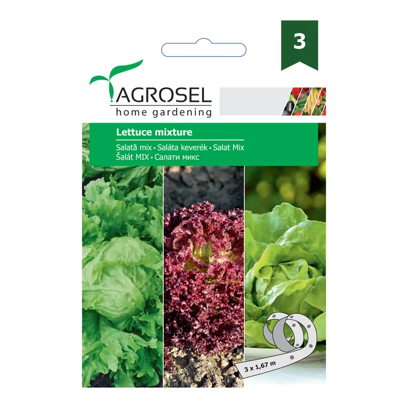 Seminte de salata mix (Lollo R.,Great Lakes, May King), Agrosel