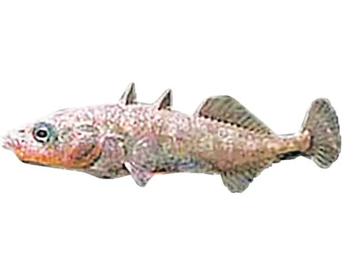 Peștele ghidrinul Gasterosteus acuelatus 3-4 cm buc