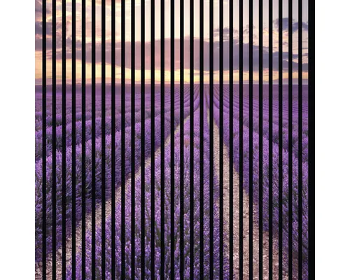 Panou riflaj acustic imprimat digital Lavandă 1 19x1133x1195 mm buc