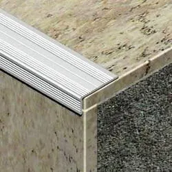 Protectie treapta al. ASR257.81 arg. mat 25x10mm l=2.70m