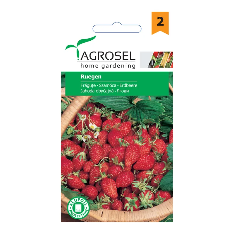 Seminte de fragute, Agrosel Reugen
