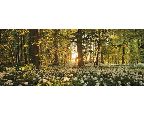 Tablou sticlă Pure Living Sweet Woodruff 30x80 cm buc