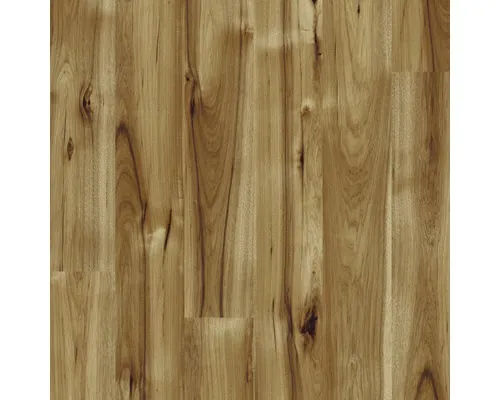 Parchet laminat KAINDL Masterfloor 8 mm nuc american Bravo P80070 HG pac