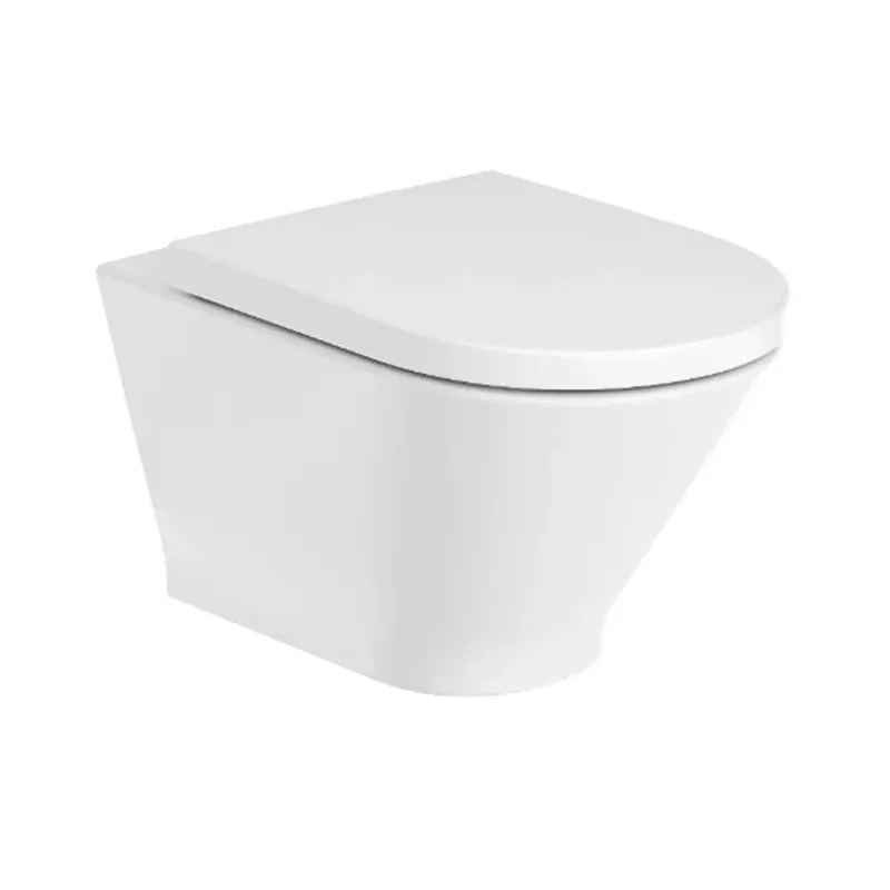 THE GAP ROUND VAS WC SUSPENDAT RIMLESS CU SISTEM FIXARE ASCUNS