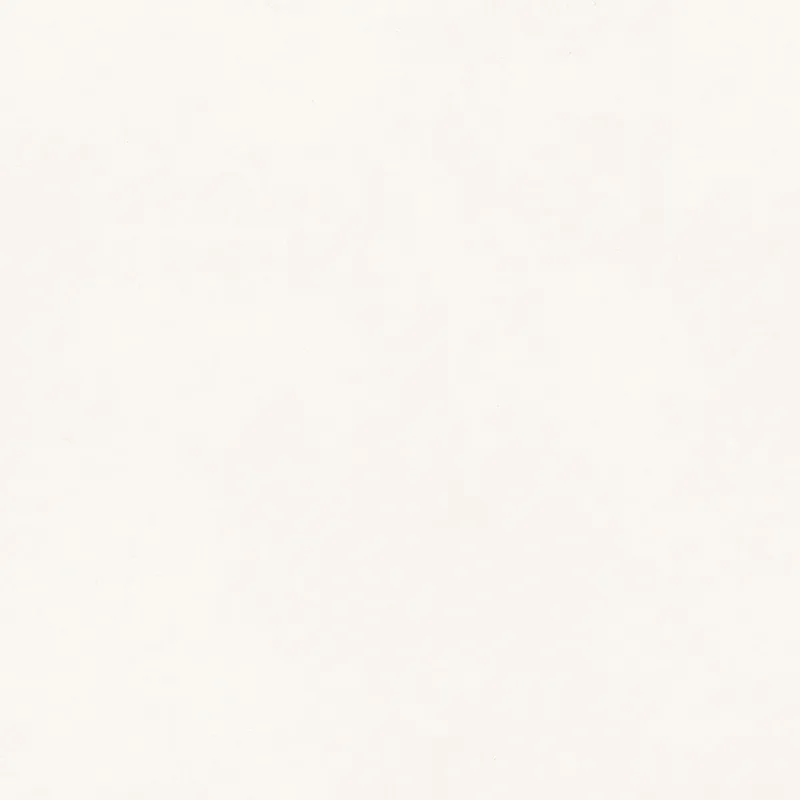 ICONA BIANCO 120X120X0.9