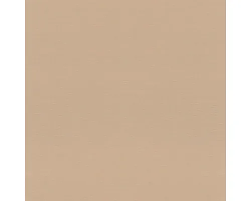 Tapet vlies Rasch 687576 Rhapsody Tropical House uni auriu-cupru deschis 10,05x0,53 m rola