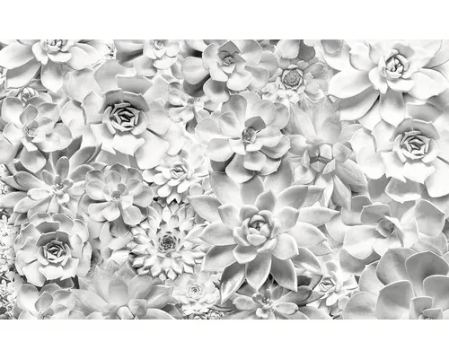 Fototapet vlies Komar P962-VD4 Pure Shades Black and White 400x250 cm buc