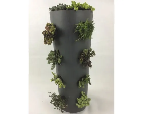 FloraSelf Wanderella cu plante de rocărie Co 7 L buc