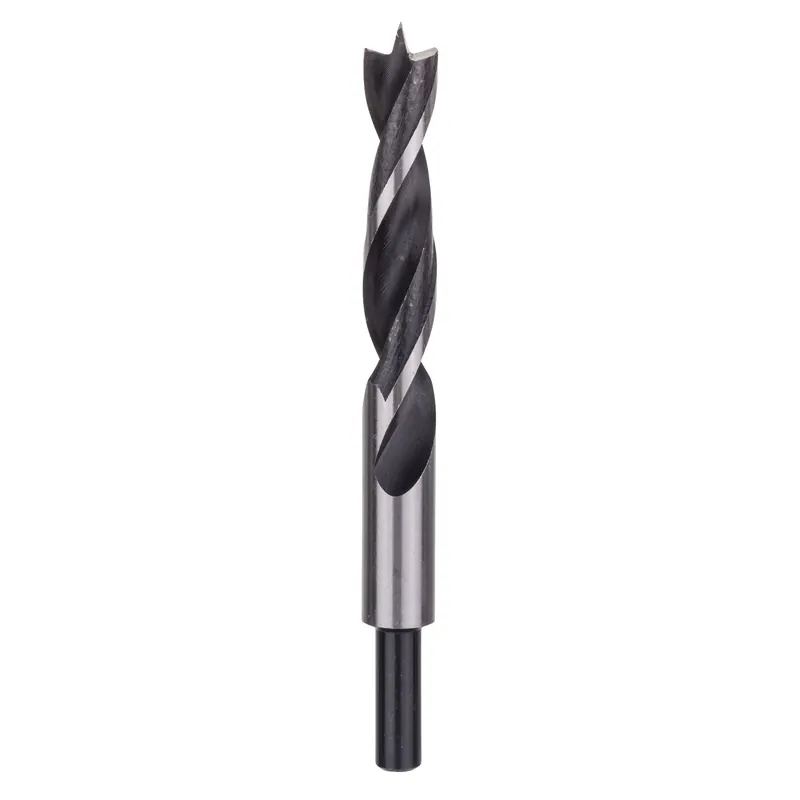 Burghiu pentru lemn, Bosch, 15 x 100 x 160 mm buc