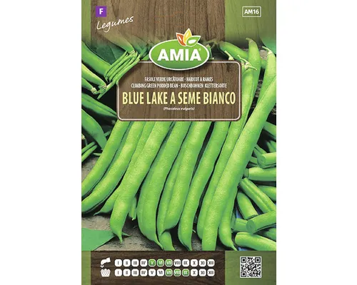 Semințe legume Amia fasole Blue Lake a Seme Bianco buc