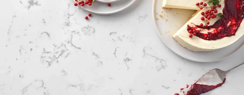 4123 KASHMERA WHITE POLISHED 310X152X20