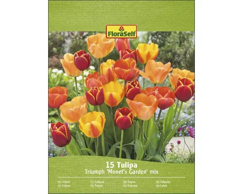Bulbi de lalele FloraSelf Triumph Monet's Garden 15 buc.