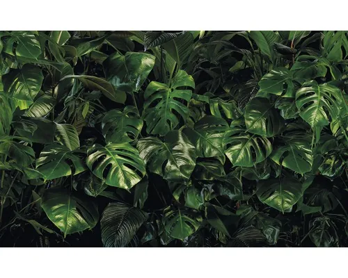 Fototapet vlies Komar P333-VD4 Pure Tropical Wall 400x250 cm buc