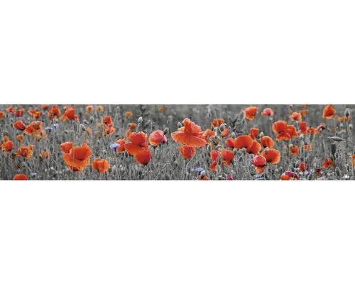 Panou bucătărie mySpotti Splash Poppy folie PVC rigidă 280x60 cm buc