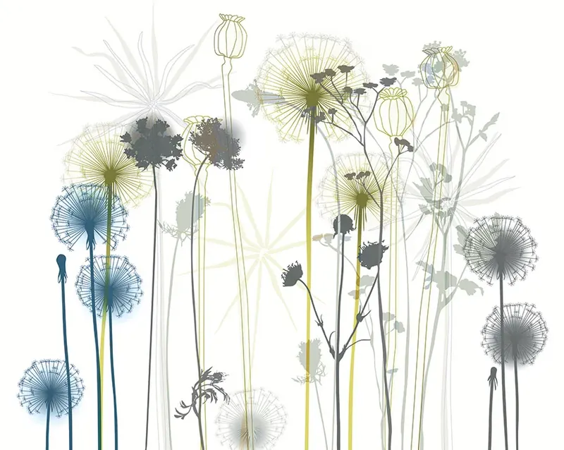 DANDELION 2 FOTOTAPET